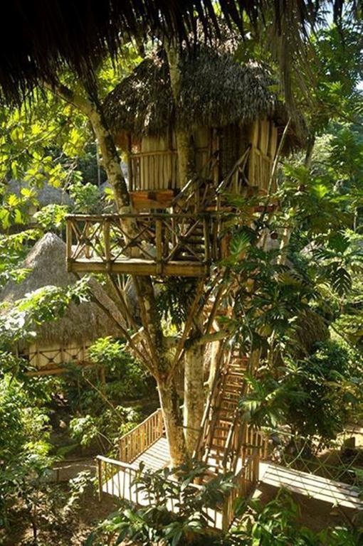 Dominican Tree House Village Santa Barbara De Samana Exteriér fotografie