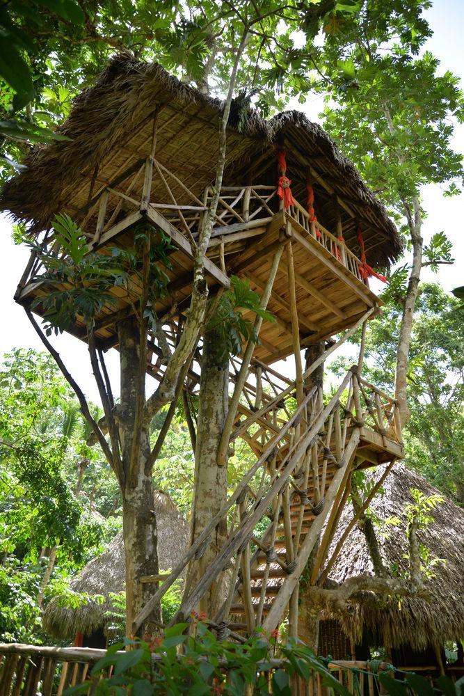 Dominican Tree House Village Santa Barbara De Samana Exteriér fotografie