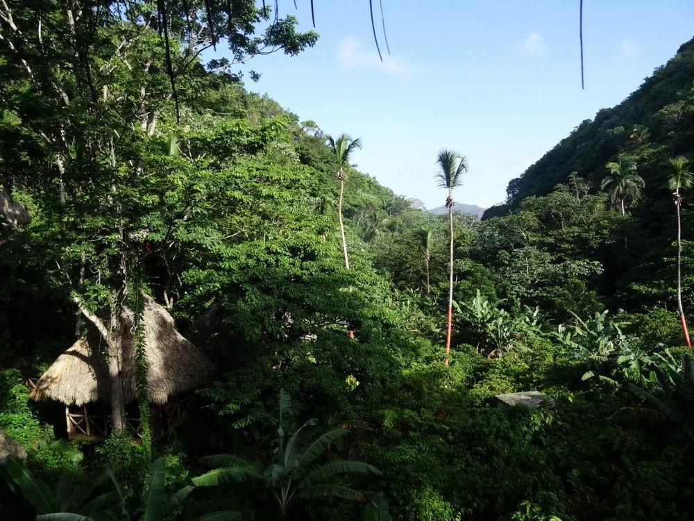Dominican Tree House Village Santa Barbara De Samana Exteriér fotografie